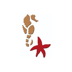 3D predloga Morski konjiček in morska zvezda 7x10 cm