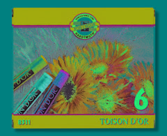 Komplet suhih pastel Toison D-OR Koh-i-noor 6-delni